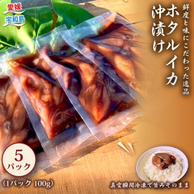 ホタルイカ沖漬け 100g×5パック 宇和島鮮魚 D010-200020