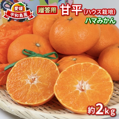 宇和島市津島町産 贈答用甘平2kg(ハウス栽培) ハマみかん B020-075006