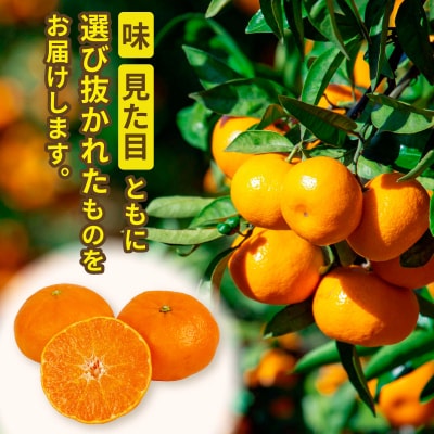 宇和島市津島町産 贈答用甘平2kg(ハウス栽培) ハマみかん B020-075006