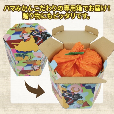 宇和島市津島町産 贈答用甘平2kg(ハウス栽培) ハマみかん B020-075006