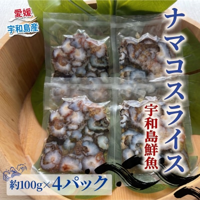 ナマコスライス100g×4パック 宇和島鮮魚 D010-200040