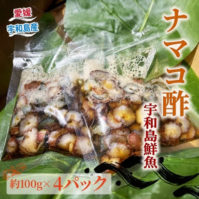 ナマコ酢100g×4パック 宇和島鮮魚 D010-200042