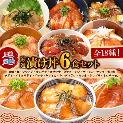 漬け丼(18種)ランダム6食セット 南予ビージョイ D012-150019