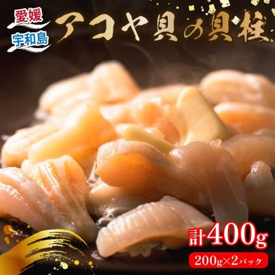 アコヤ貝の貝柱 アクアプラス D014-090005