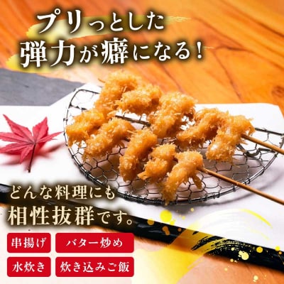 アコヤ貝の貝柱 アクアプラス D014-090005