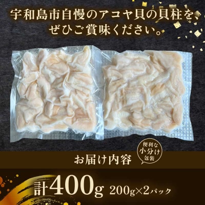 アコヤ貝の貝柱 アクアプラス D014-090005