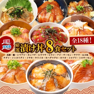 漬け丼(18種)ランダム8食セット 南予ビージョイ D014-150020