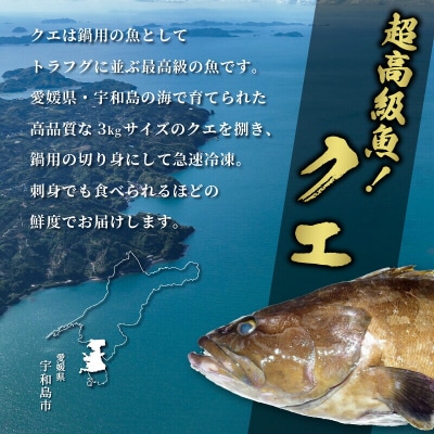 クエ切身(アラ付き) 南予ビージョイ D019-150013