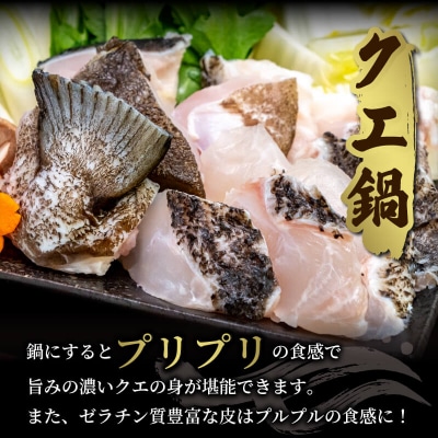 クエ切身(アラ付き) 南予ビージョイ D019-150013