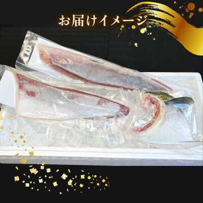 ブリ短冊 半身分 アクアプラス D030-090003