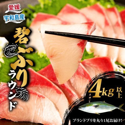 碧ぶりラウンド 4.0kg 南予ビージョイ D038-150025
