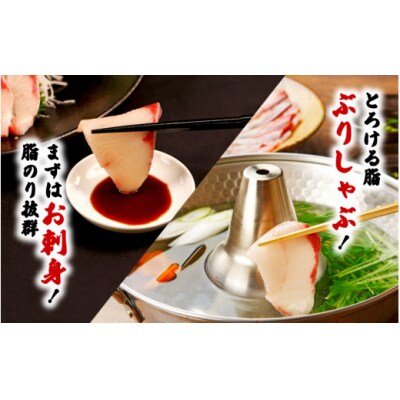 碧ぶりラウンド 4.0kg 南予ビージョイ D038-150025