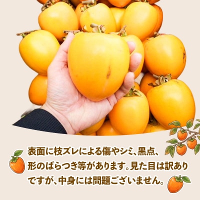 訳あり 渋柿(愛宕柿)10kg スーパー山田屋 F014-198014