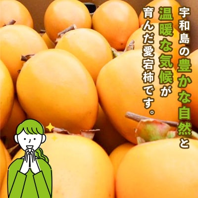 訳あり 渋柿(愛宕柿)10kg スーパー山田屋 F014-198014