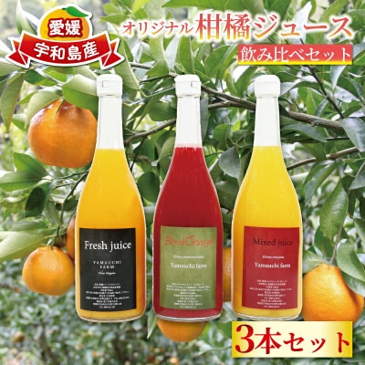オリジナル柑橘ジュース飲み比べセット YAMAUCHI FARM H018-084002