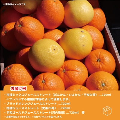 オリジナル柑橘ジュース飲み比べセット YAMAUCHI FARM H018-084002