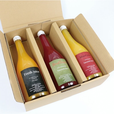 オリジナル柑橘ジュース飲み比べセット YAMAUCHI FARM H018-084002