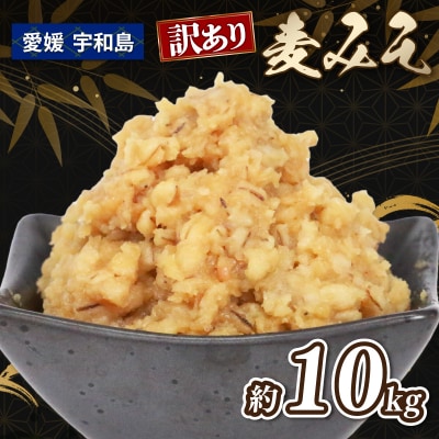 訳あり麦みそ 10kg 宮居醤油店 J015-122007