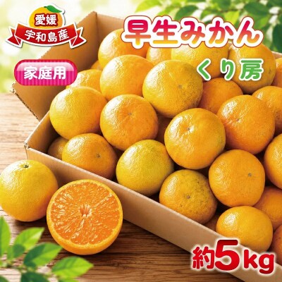家庭用早生みかん5kg くり房 B012-204003