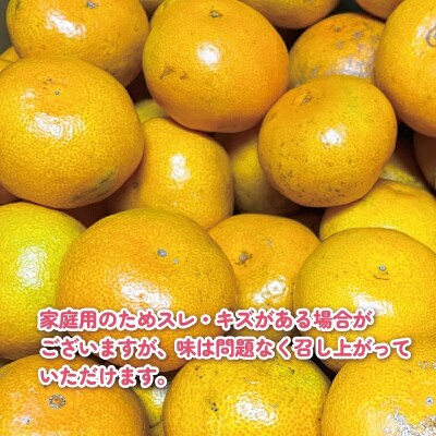 家庭用早生みかん5kg くり房 B012-204003