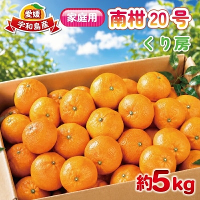 家庭用 南柑20号5kg くり房 B012-204004