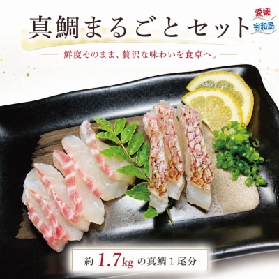 真鯛まるごとセット こもねっと D016-008018