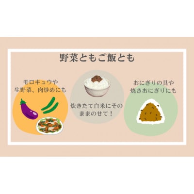 ご飯や野菜のお供に!会津のピリカラしそみそ100g×10パック入り