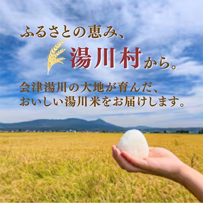 令和8年産湯川村産コシヒカリ(玄米) 10kg  R9.9月発送分
