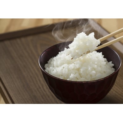 【発送月固定定期便】湯川村産コシヒカリ 玄米5kg(R8.10月-12月・R9.1月-6月)全9回