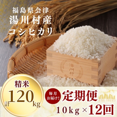 【毎月定期便】湯川村産コシヒカリ 精米10kg(R8.10月-12月・R9.1月-9月)全12回