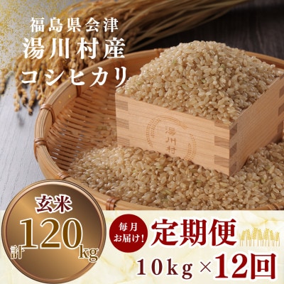 【毎月定期便】湯川村産コシヒカリ 玄米10kg(R8.10月-12月・R9.1月-9月)全12回