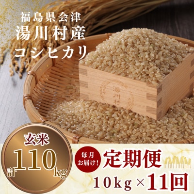 【発送月固定定期便】湯川村産コシヒカリ玄米10kg(R8.10月-12月・R9.1月-8月)全11回