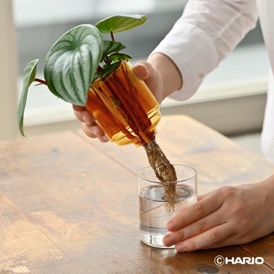 HARIO ガラスの花器[GK-200-AB] | ハリオ おしゃれ シンプル _FI80