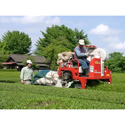 煎茶・芽茶・抹茶の絶妙ブレンド茶200g4本+老舗醤油屋の醤油煎餅のセット | お茶 _BF11