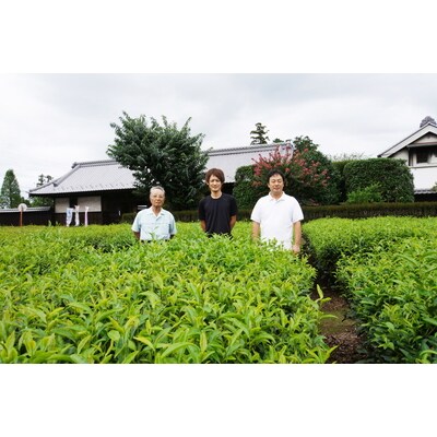 煎茶・芽茶・抹茶の絶妙ブレンド茶200g4本+老舗醤油屋の醤油煎餅のセット | お茶 _BF11