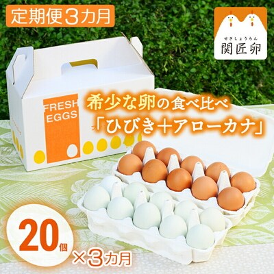 【定期便3か月】関匠卵 ひびき+アローカナハーフセット(計20個×3か月) | 卵 _CP07
