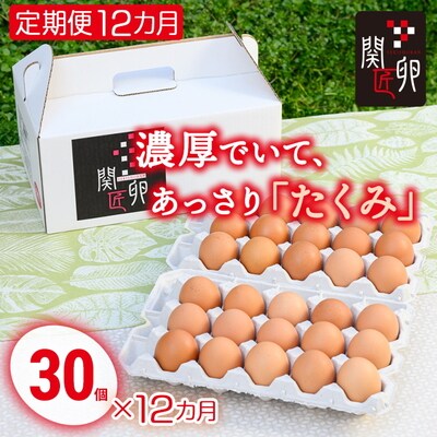 【定期便12か月】関匠卵 たくみ 30個×12か月 | 卵 30個 赤玉 玉子 たまご _CP10