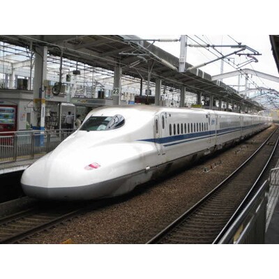 チップスター極 東海道新幹線限定 伊勢えび味 24本セット | 菓子 お菓子 _FA06