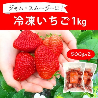 摘みたて!便利な小分け!冷凍いちご1kg(500g×2) | いちご 苺 イチゴ _BI08