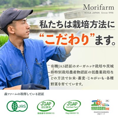 摘みたて!便利な小分け!冷凍いちご1kg(500g×2) | いちご 苺 イチゴ _BI08