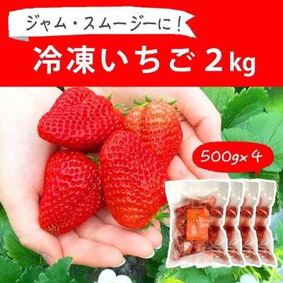 摘みたて!便利な小分け!冷凍いちご2kg(500g×4) | いちご 苺 イチゴ _BI09