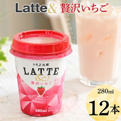 latte& 贅沢いちご 12本 | ラテ いちごラテ 苺ラテ 苺 イチゴ らて 珈琲 _DT04