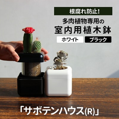 根腐れ防止!多肉植物専用の室内用植木鉢「サボテンハウス(R)」 キューブ型 _GD01 _GD02