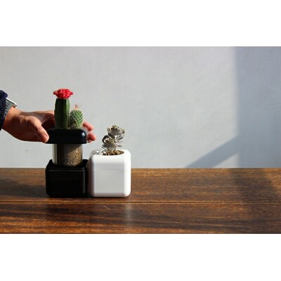 根腐れ防止!多肉植物専用の室内用植木鉢「サボテンハウス(R)」 キューブ型 _GD01 _GD02