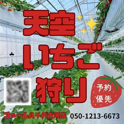 古河市 空中いちご狩り チケット 大人2枚 小学生1枚 ※2025年4月～発送 _FV02