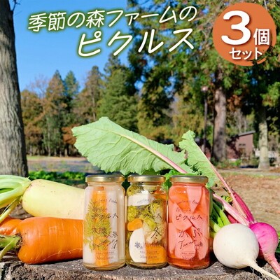 【無添加】季節の森ファームのピクルス 3個セット | ピクルス ぴくるす 野菜ソムリエ _BI88