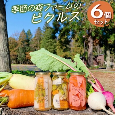 【無添加】季節の森ファームのピクルス 6個セット | ピクルス ぴくるす 野菜ソムリエ _BI89