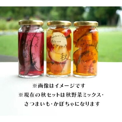 【無添加】季節の森ファームのピクルス 6個セット | ピクルス ぴくるす 野菜ソムリエ _BI89