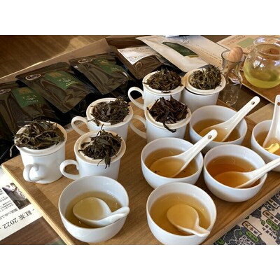 茶園見学ツアー2名様チケット | 体験 茶園 老舗 さしま茶 猿島茶 和紅茶 いずみ _BM06