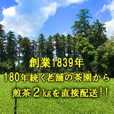 匠の技 「さしま茶」産地元詰2kg(500g×4本) | お茶 2キロ 小分け _BM01
